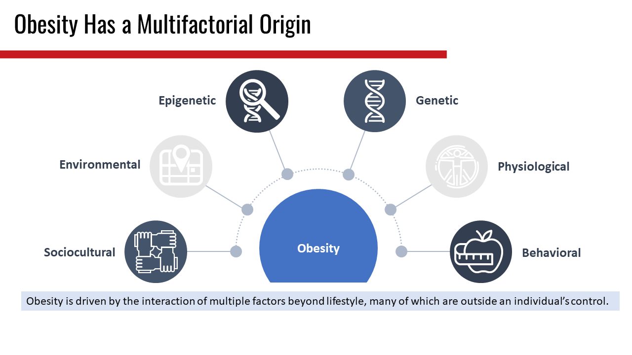 Handout Showing Obesity Has a Multifactorial Origin and the Origins of Obesity